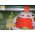 Automatic Equipment in Poultry House with Low Price